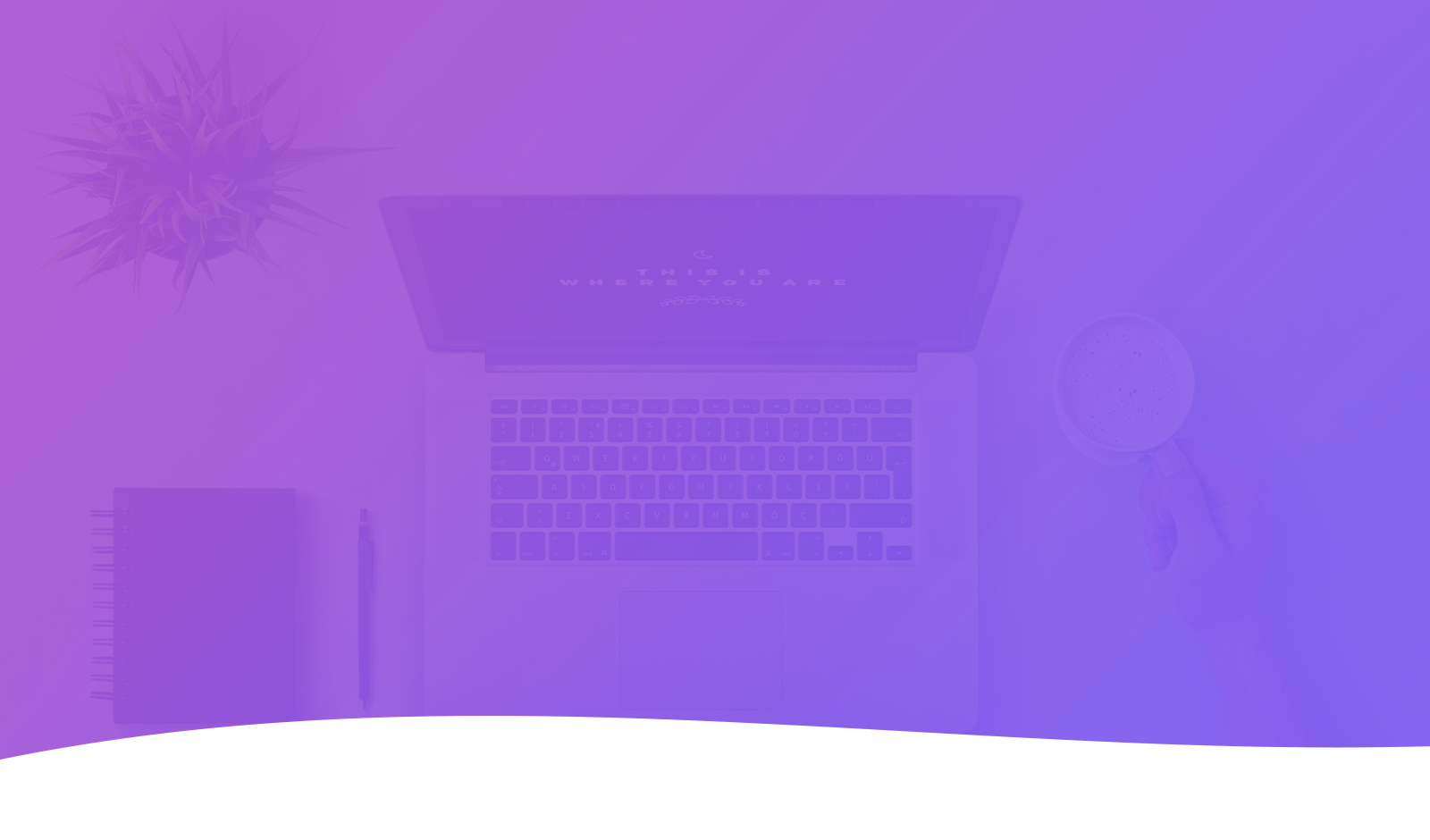 Google Ads : est-ce fait pour votre entreprise ?